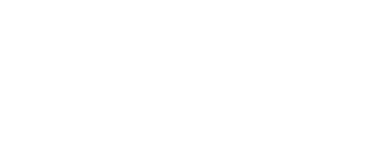 The Toxteth